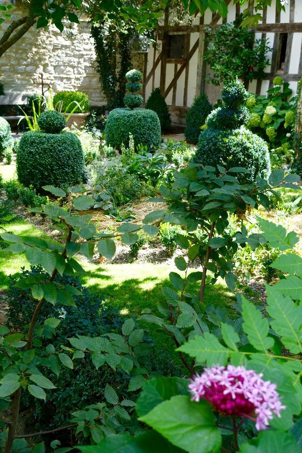 Bed and Breakfast Le Jardin De La Cathedrale Труа Екстер'єр фото